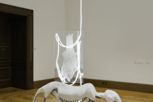 DATAS: The Data and the Sovereign, pohled do instalace © Galerie Rudolfinum, foto Ondřej Polák