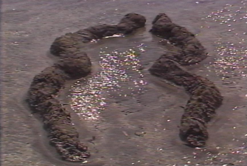 <h1>Ana Mendieta: Traces</h1>