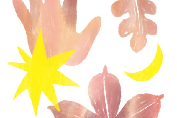 Ateliérovka 65, autorka ilustrace Adéla Ševčíková