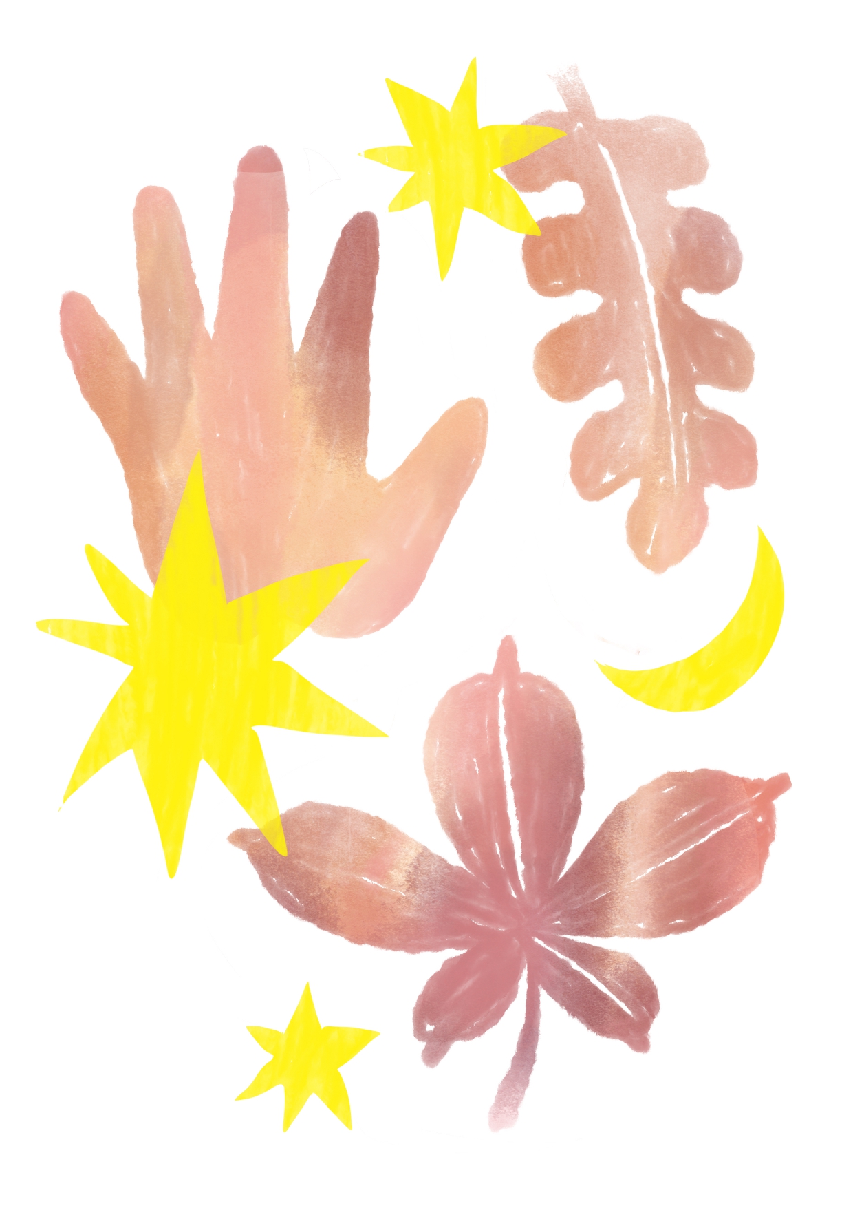 Ateliérovka 65, autorka ilustrace Adéla Ševčíková
