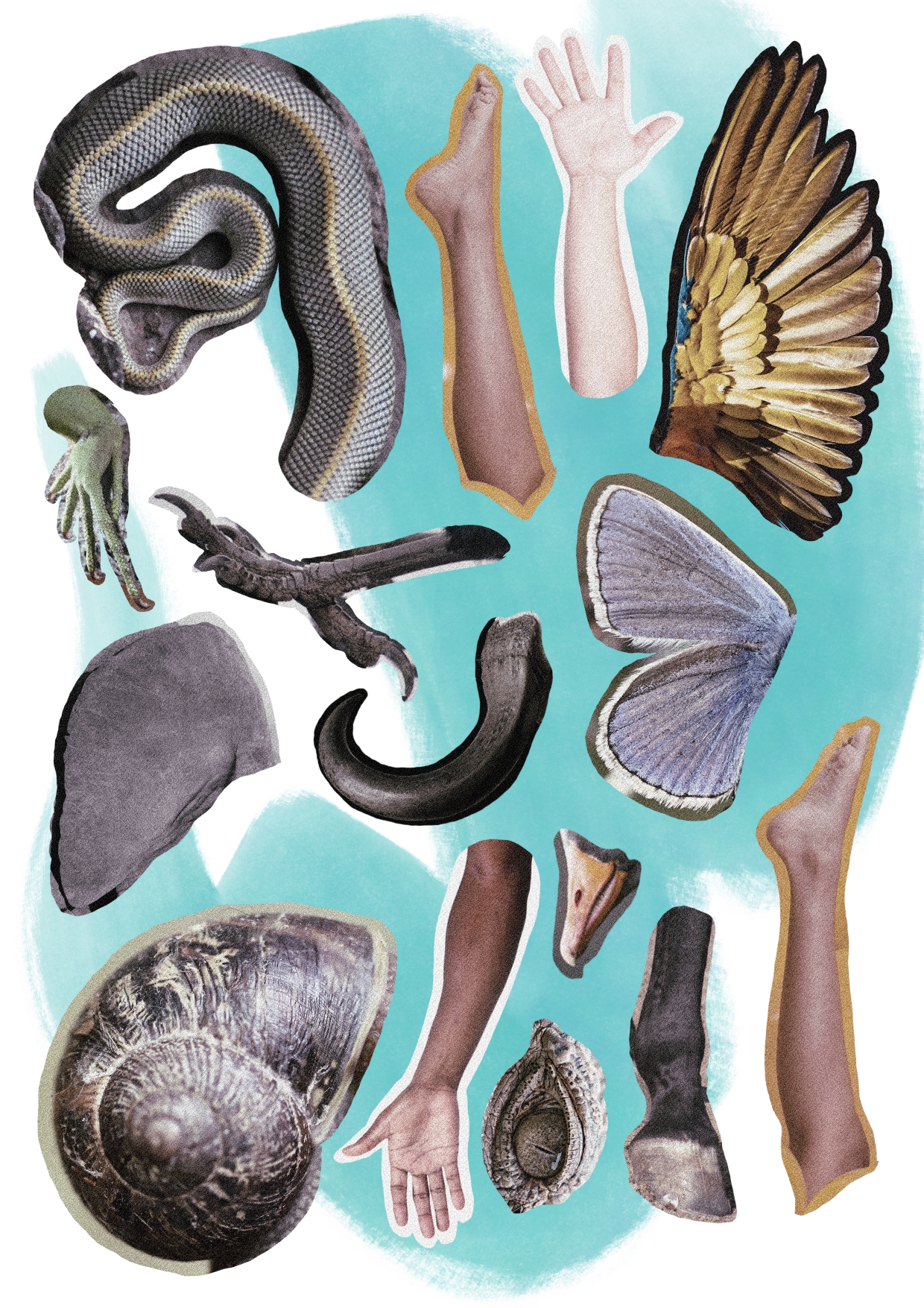 Ateliérovka 71, autorka ilustrace Adéla Ševčíková