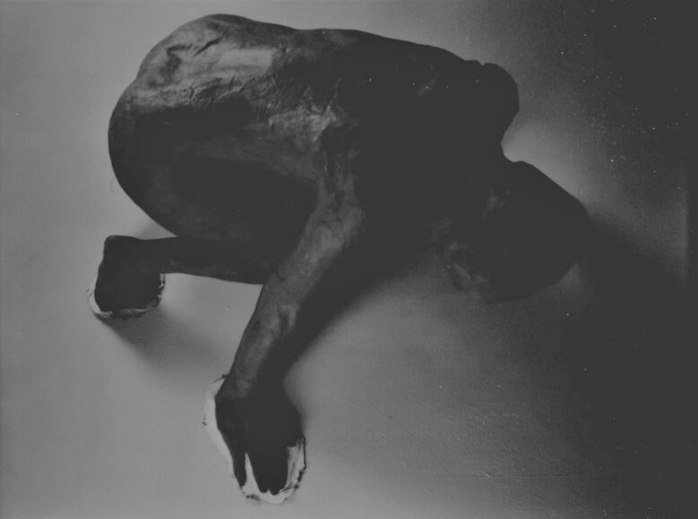 <h1>Kiki Smith</h1>